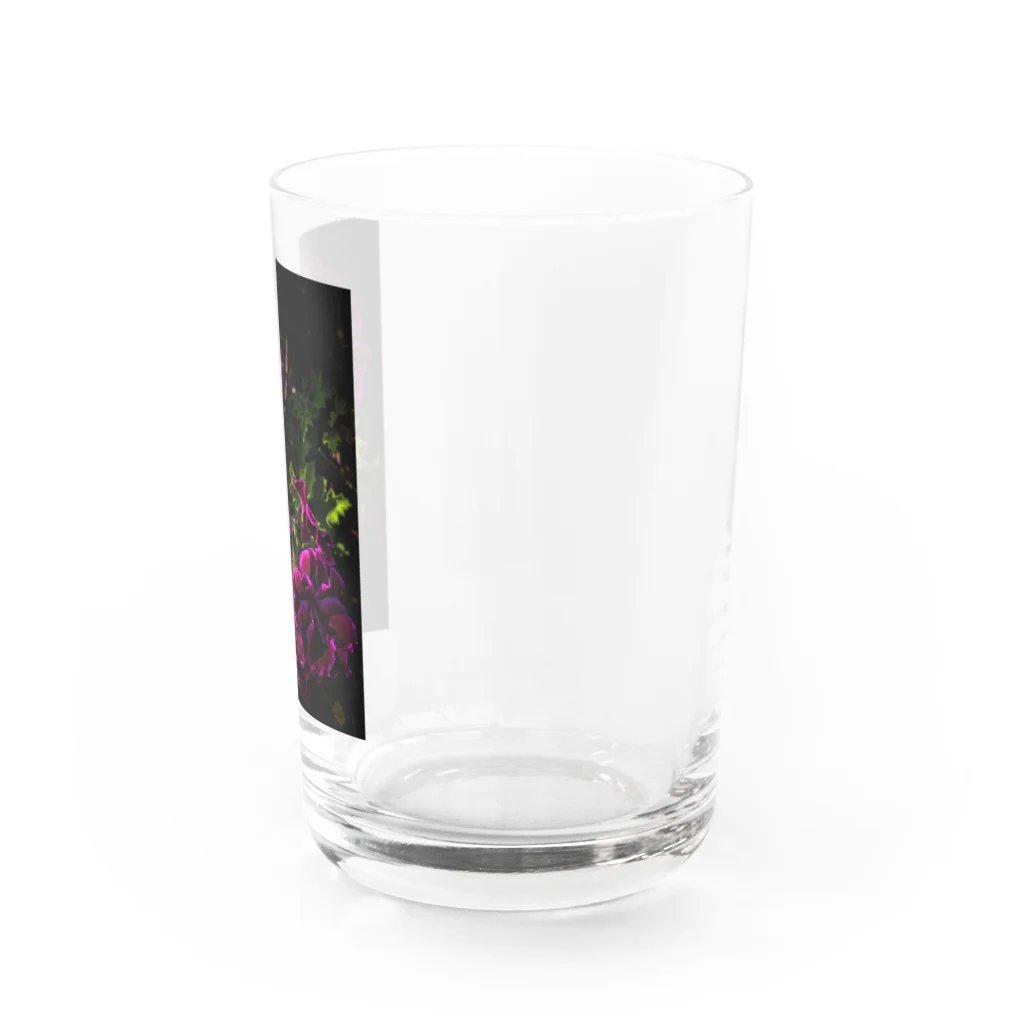 店ショップのブラックアンドピンク Water Glass :right