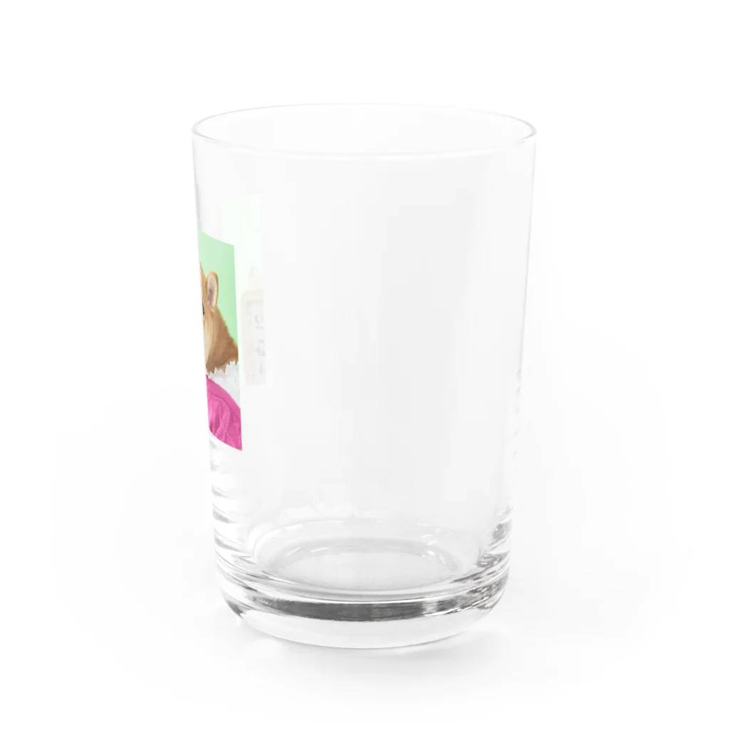 柴犬グッズ専門店 あられ堂の柴犬　レトロお嬢様編 Water Glass :right