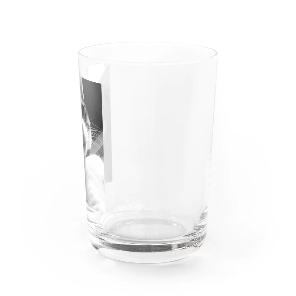 ほぼひめ。の三毛猫のひめ　4 Water Glass :right