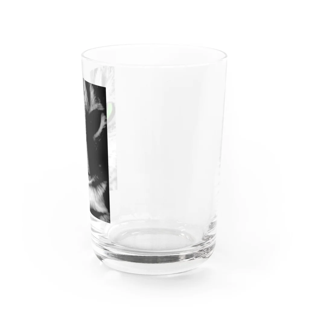 虎徹 雷蔵丸のうちの猫 Water Glass :right