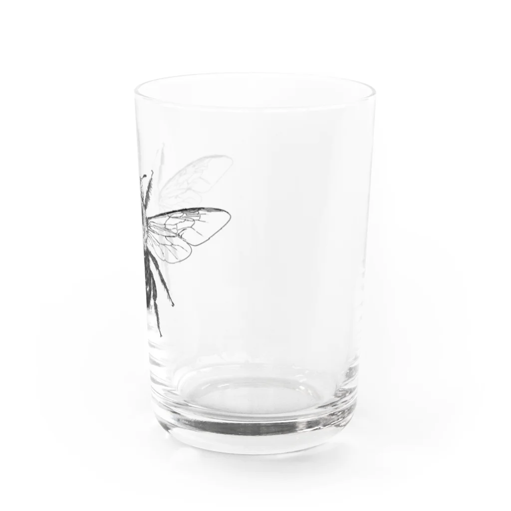 makkura.のクマバチ(xylcopa.) Water Glass :right