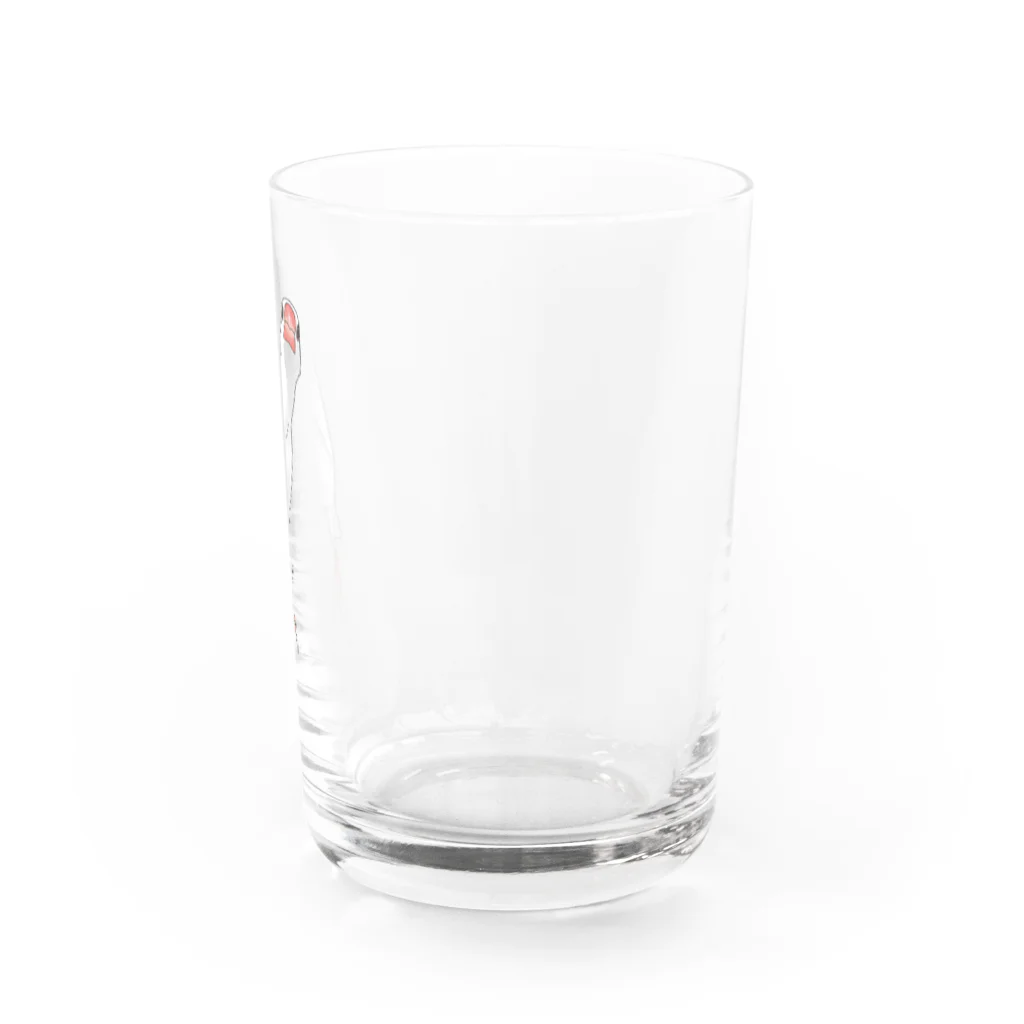 calcalののびのび白文鳥 Water Glass :right