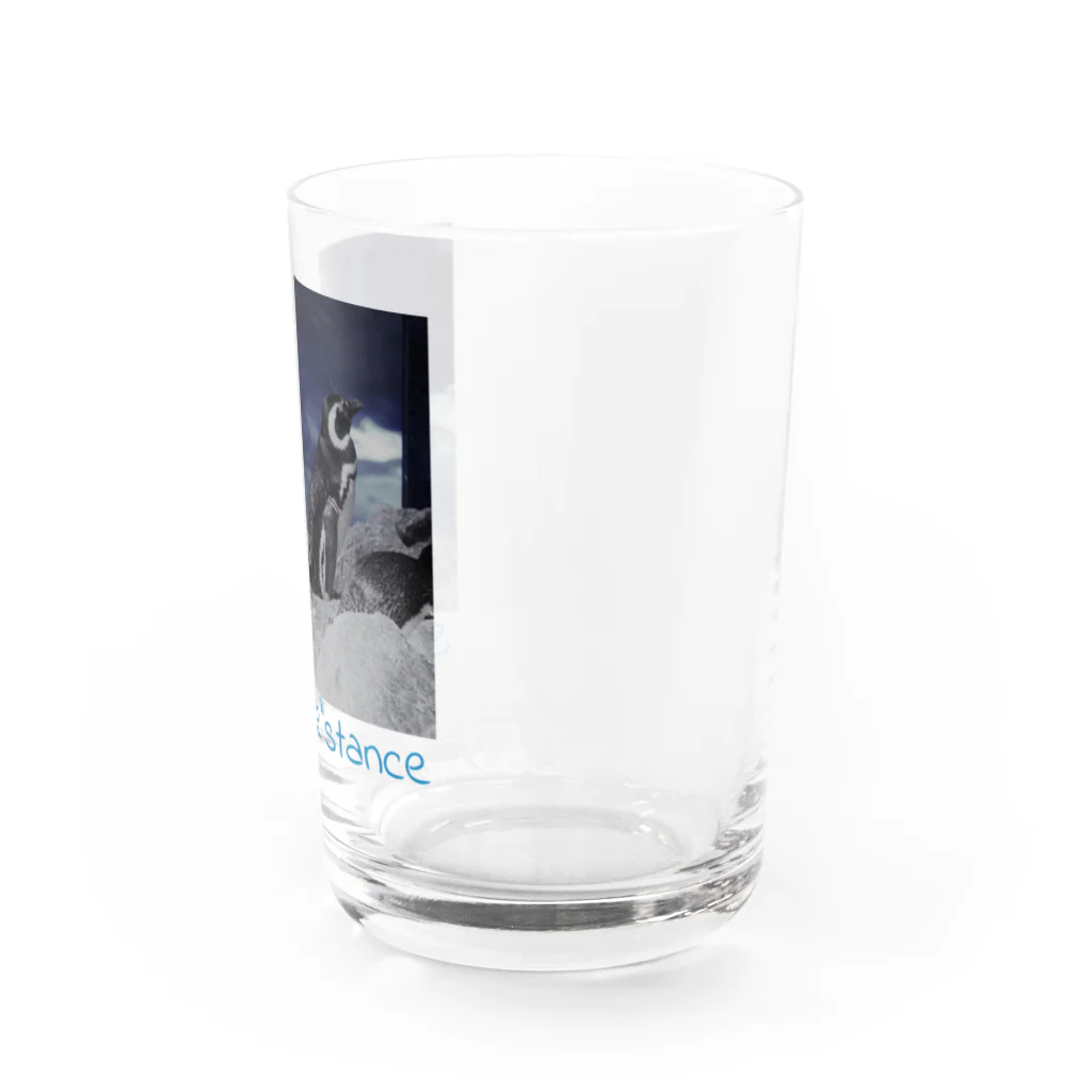 こはくさんとぺんぎんのSocial "Pe"stance Water Glass :right