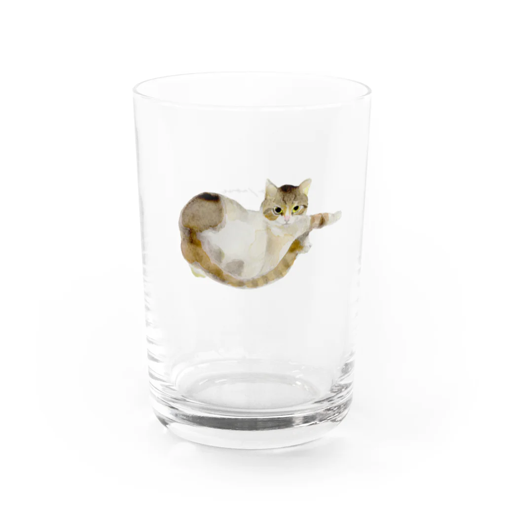 Canako Inoueの爪がひっかかっている猫 Water Glass :right