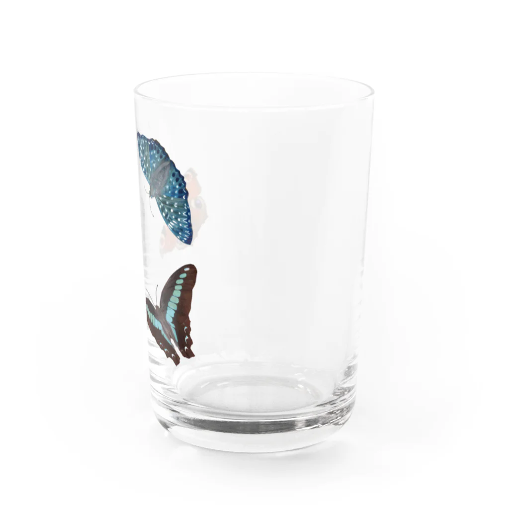 KUREOのくじゃくちょうたち Water Glass :right