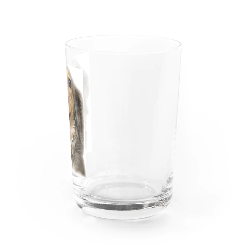 良々の美犬モカちゃん(犬、Mダックス) Water Glass :right