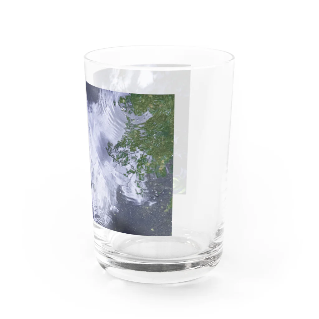 くじらのminamo Water Glass :right