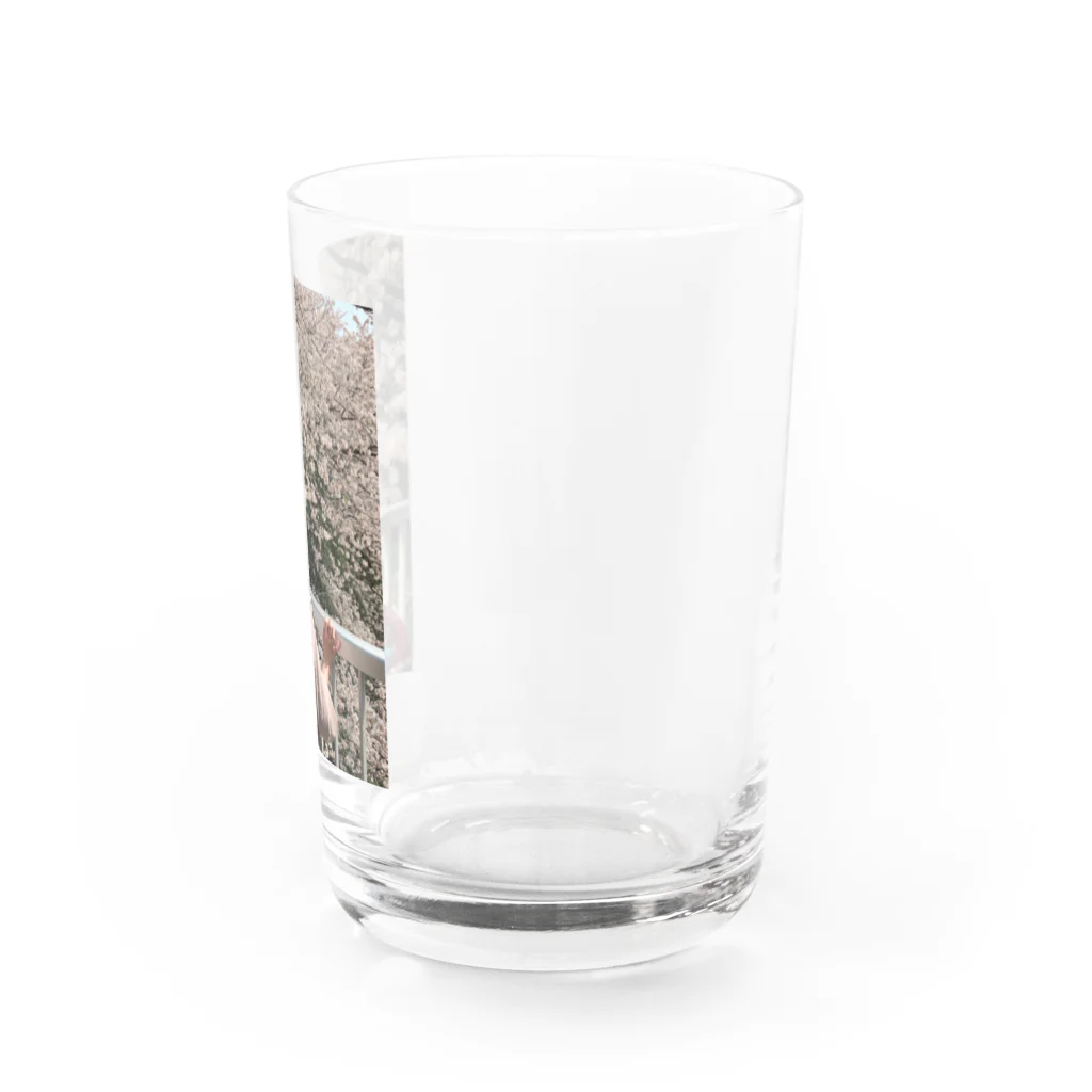 ふれちゃんの花見のシーズンはもう過ぎましたけど？ Water Glass :right