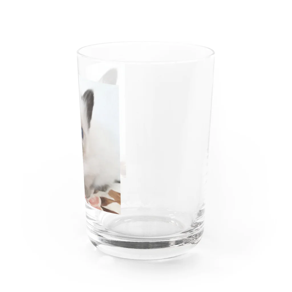 SUNNYHOUSE02の幸の眼差し Water Glass :right