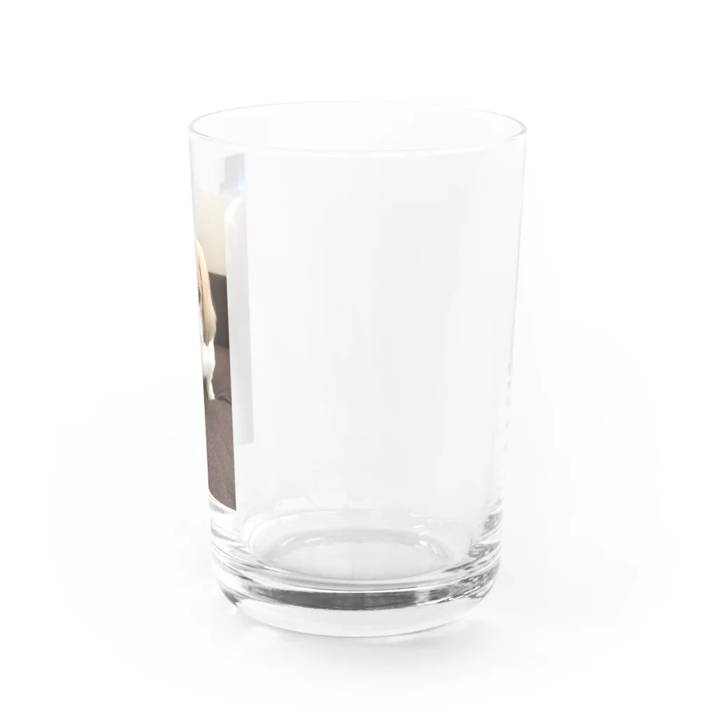 nana05のわんちゃん Water Glass :right