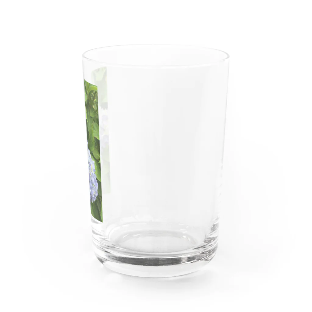 nana05の紫陽花 Water Glass :right