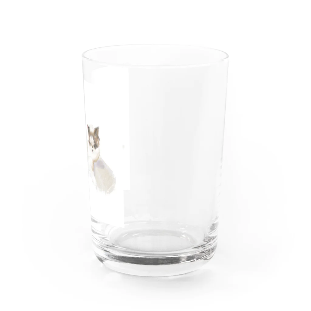 z_happinessのくつろぐ猫 Water Glass :right