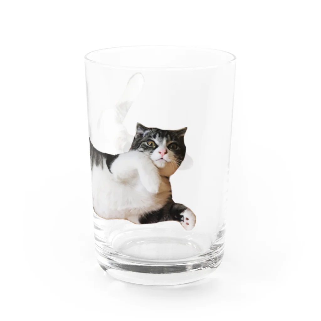 金ちゃんの部屋のキッズ時代の金ちゃん Water Glass :right