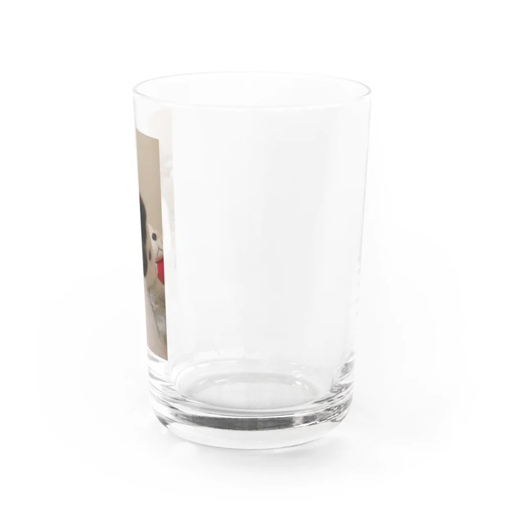 samchamのさむのともだちしもむらさんです。 Water Glass :right