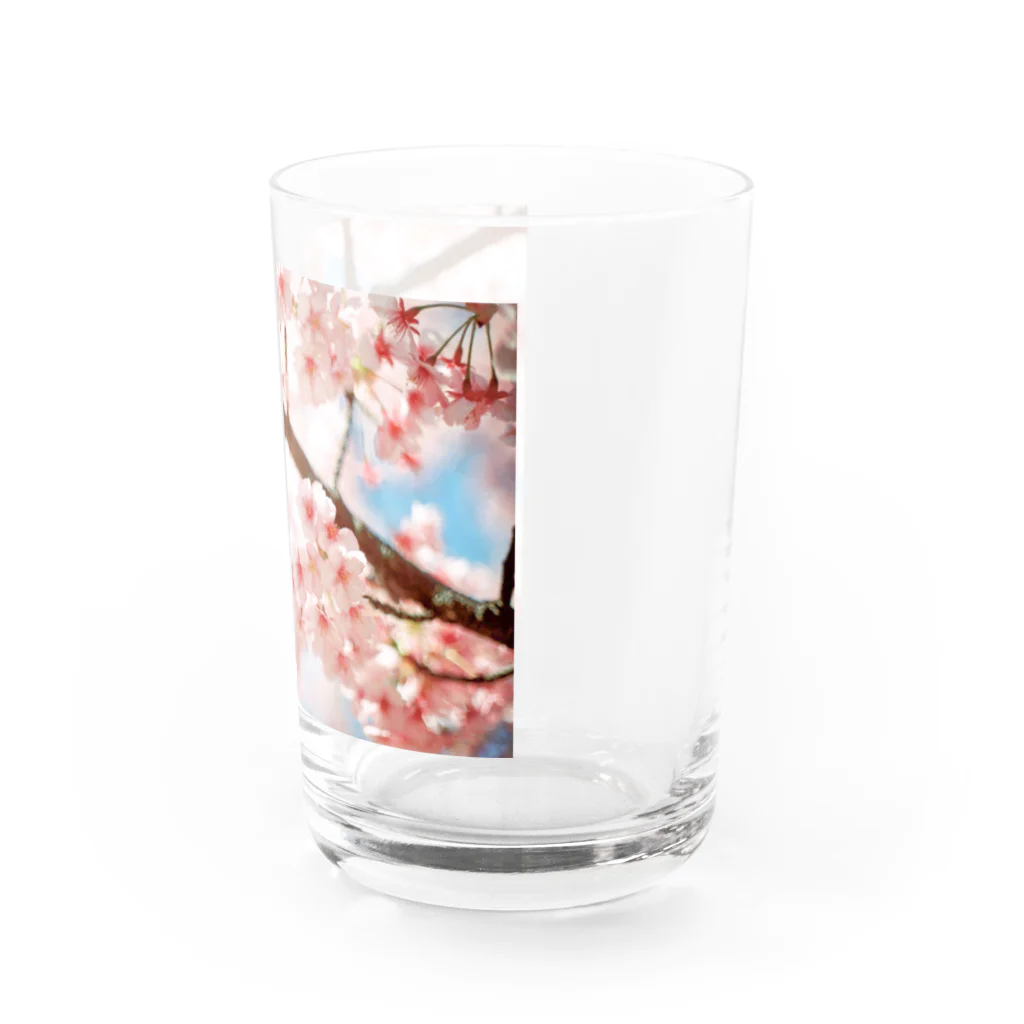 ありさのキラメクセカイ-桜その2- Water Glass :right