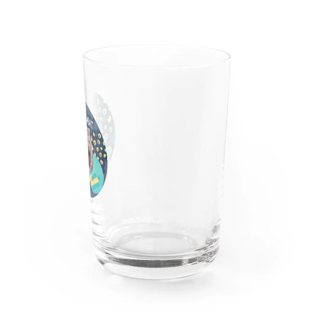 よこぴーなっつのタスマニアに住んでいるウォンバットさん Water Glass :right