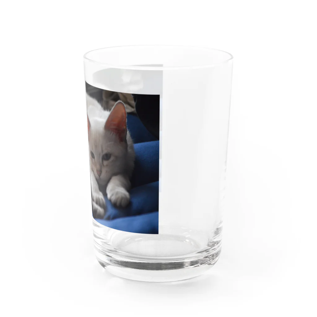 大福のだいちゃん Water Glass :right