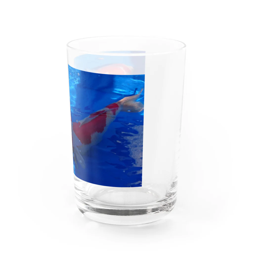 ちいるーむのにしきごい Water Glass :right