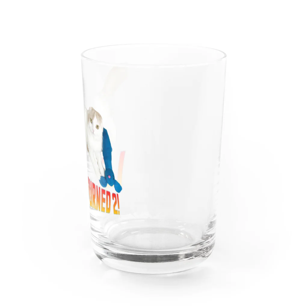 TMONSTER GAMESのLeo cats Water Glass :right