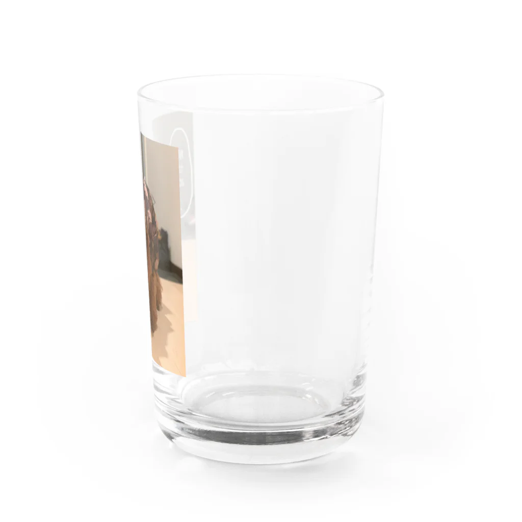 SNKRSの解せぬREVE Water Glass :right