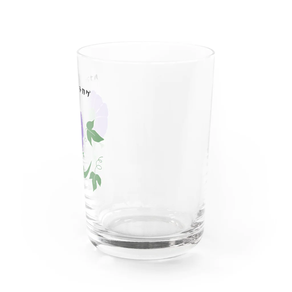 Ashidoriのハナマキトカゲ(あさがお) Water Glass :right