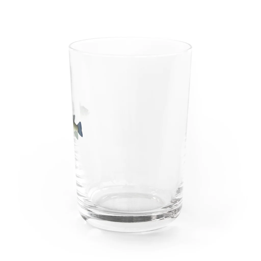 MOBのブラックバス Water Glass :right