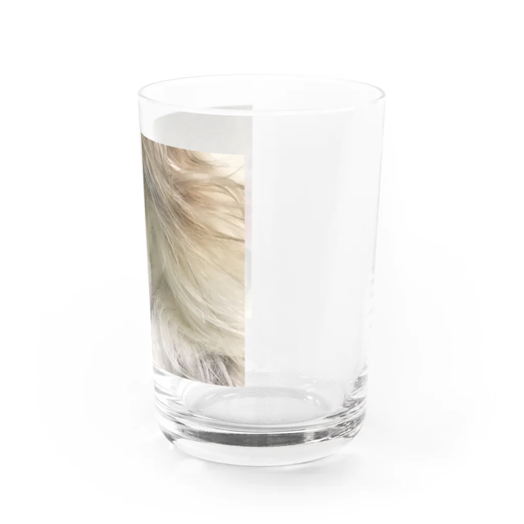 Rinaのてんてん Water Glass :right