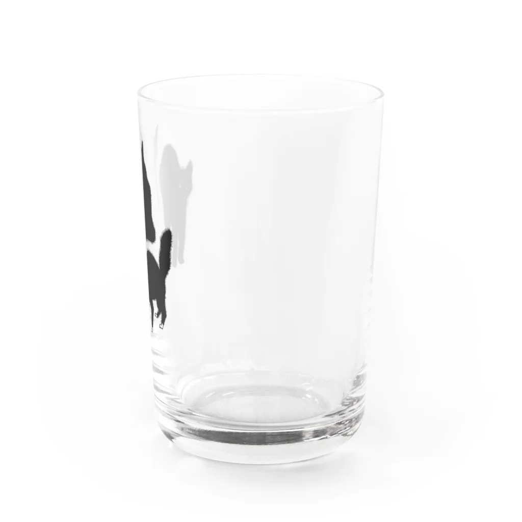 Y O L KのANGRY CAT Water Glass :right