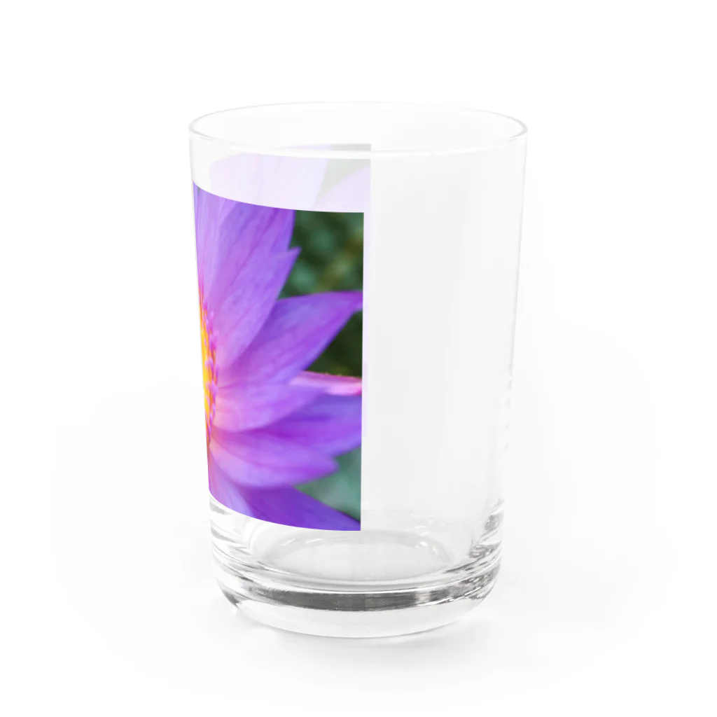 8l0のFlower drop 睡蓮 Water Glass :right