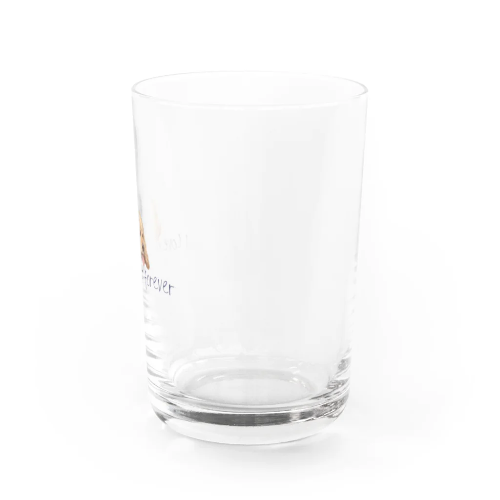愛犬のモコさんのアイラブモコさん Water Glass :right
