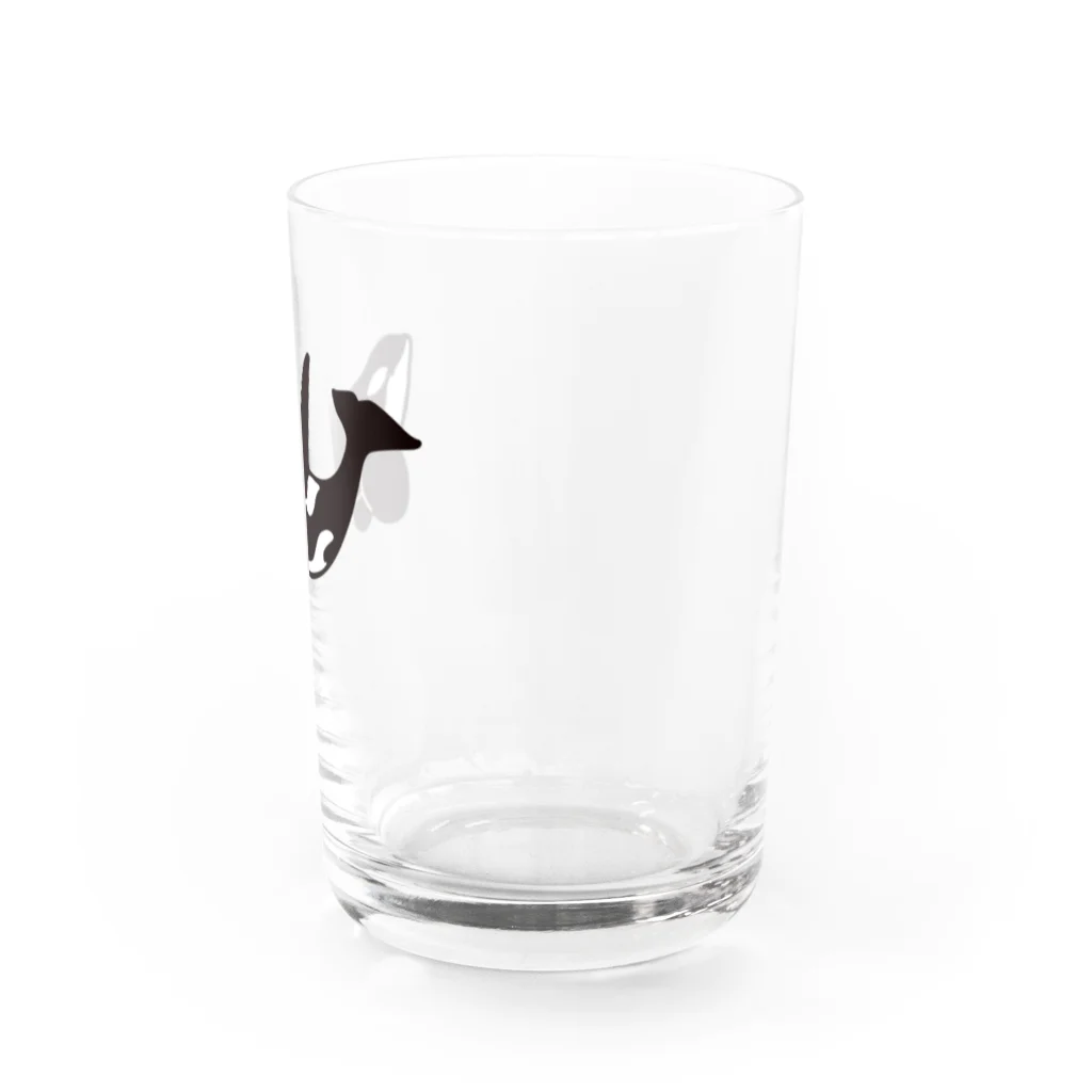 クジラの雑貨屋さん。のシャチ・グラス グラス右面