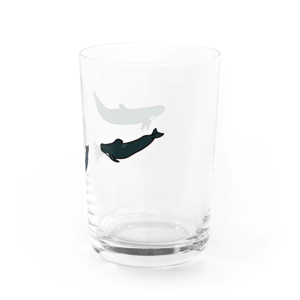 クジラの雑貨屋さん。のゴントウクジラトリオ・グラス Water Glass :right