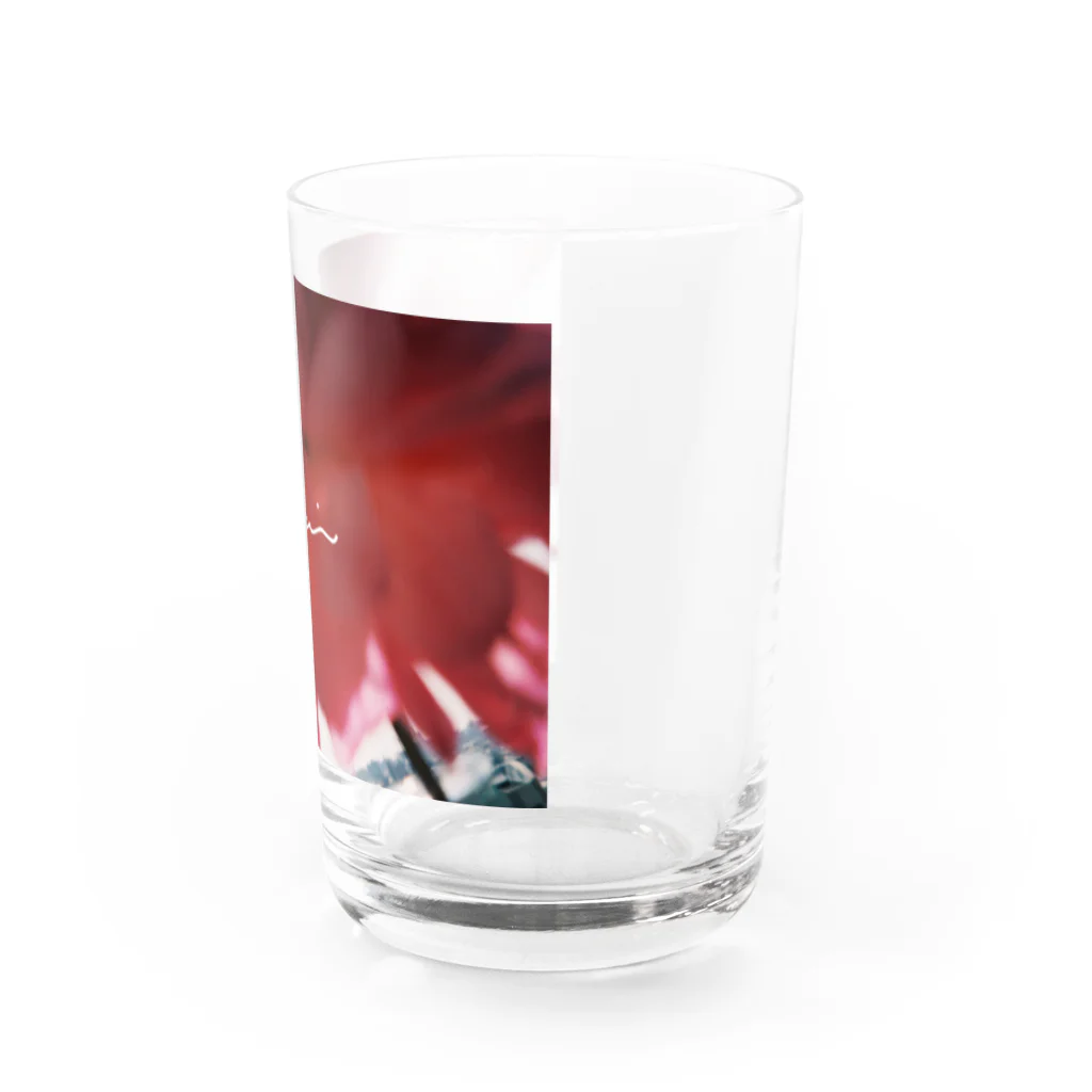 kokonotsuのflowering you Water Glass :right