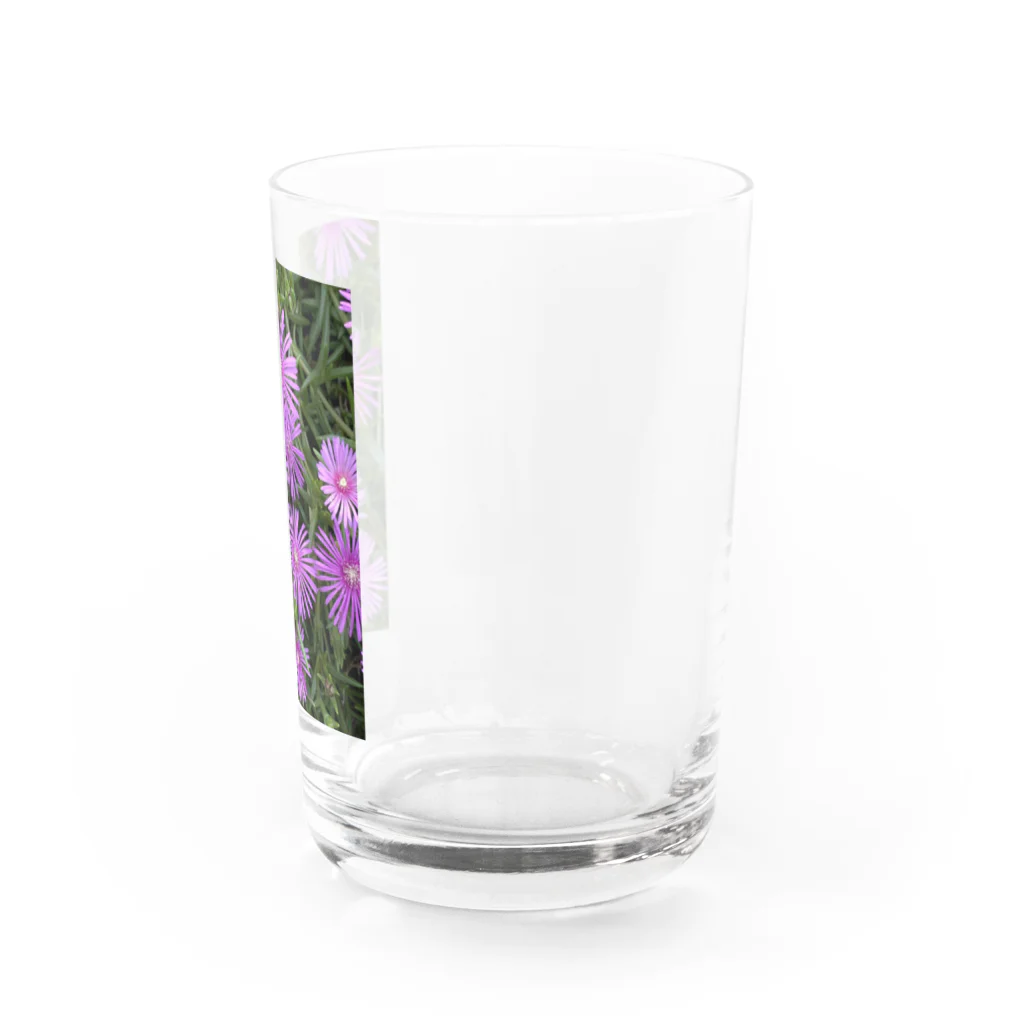 オレンジチョコのむらさきのおはな Water Glass :right