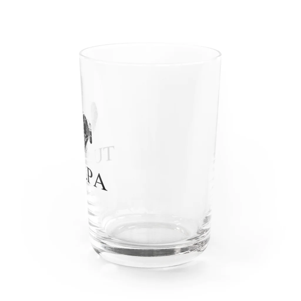 TULPAのTULPa Water Glass :right