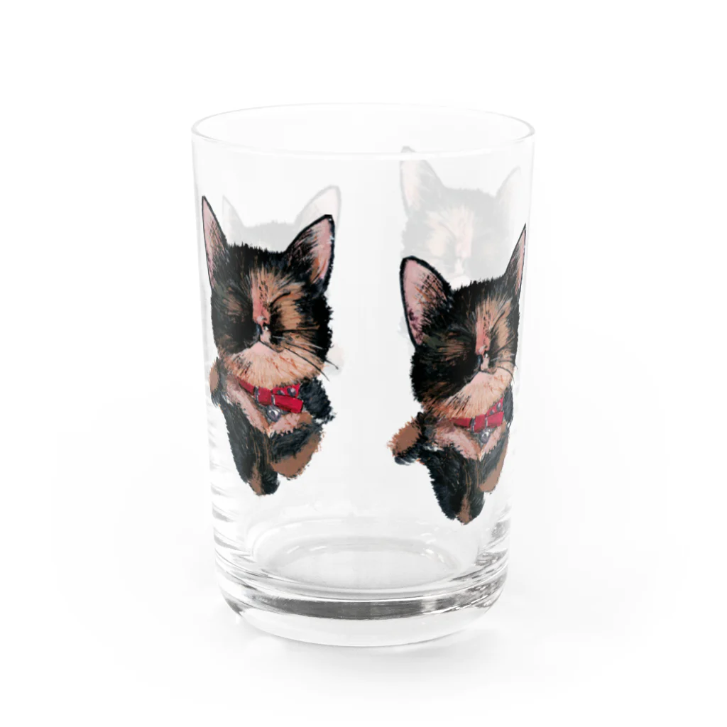 Kilkenny Catsのサビ猫 多め Water Glass :right