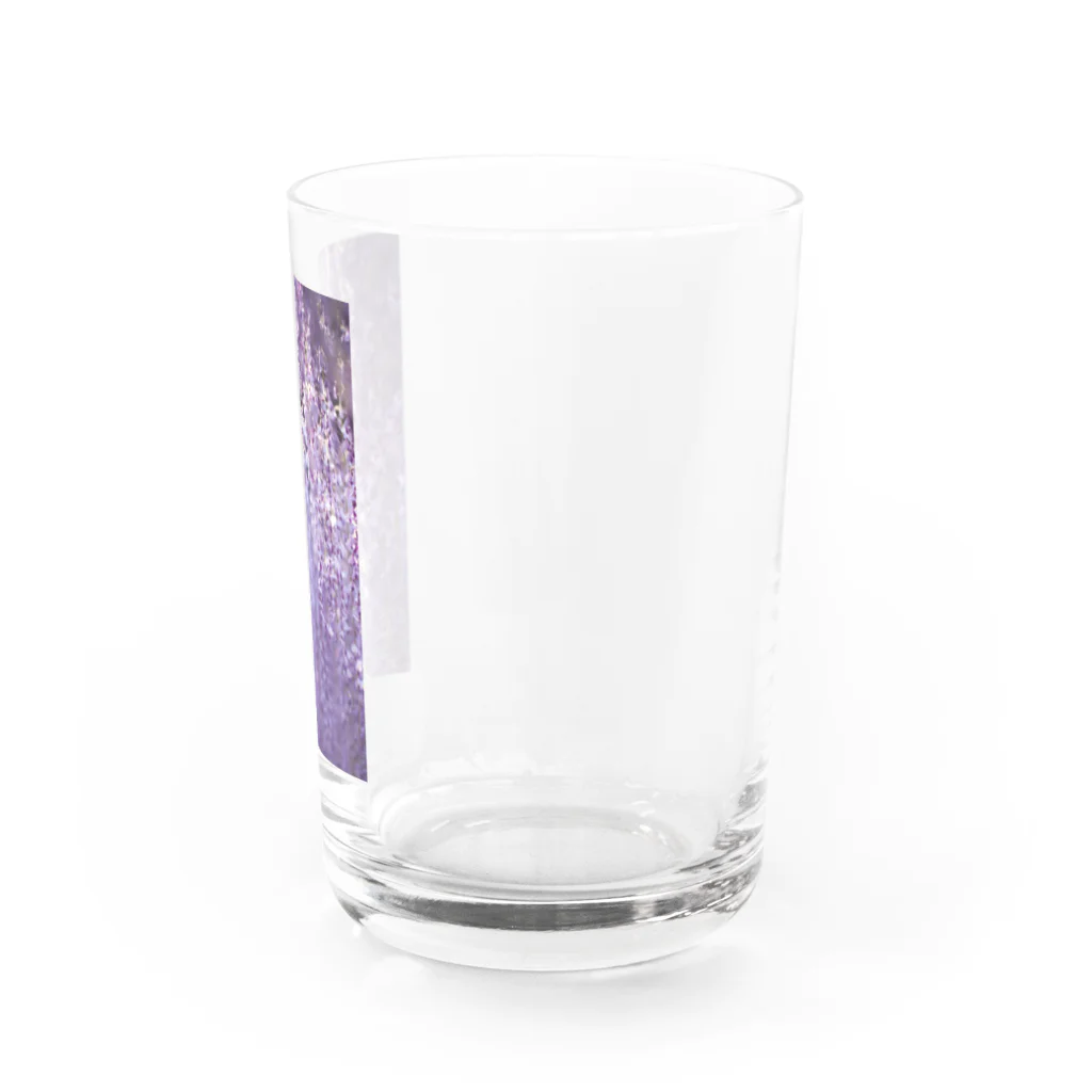 8l0の長藤　花　藤の花 Water Glass :right