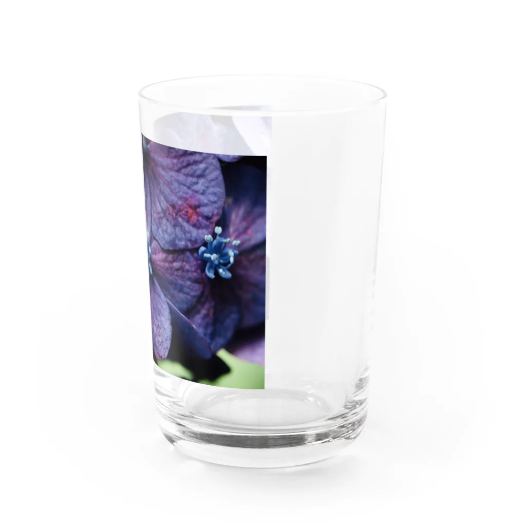 8l0の紫陽花　紫 Water Glass :right