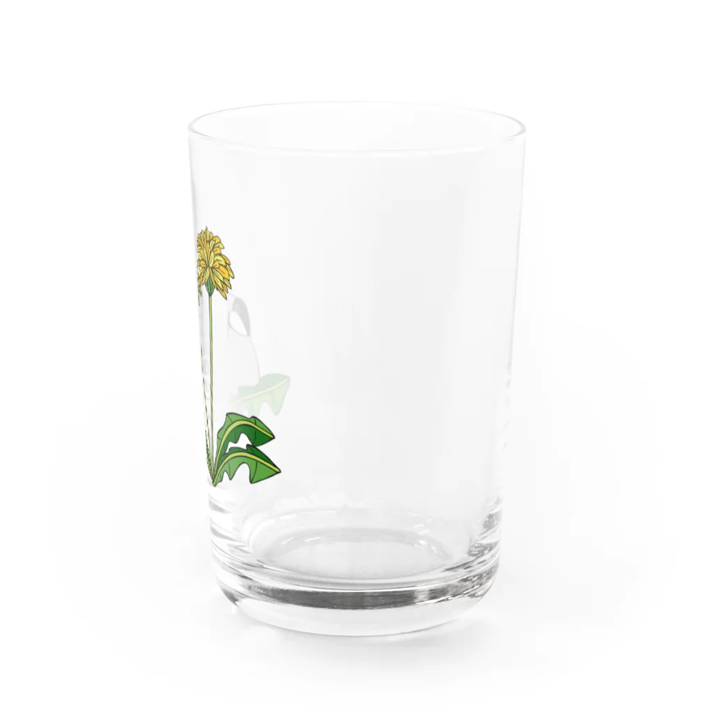 prunelleの文鳥とタンポポ Water Glass :right