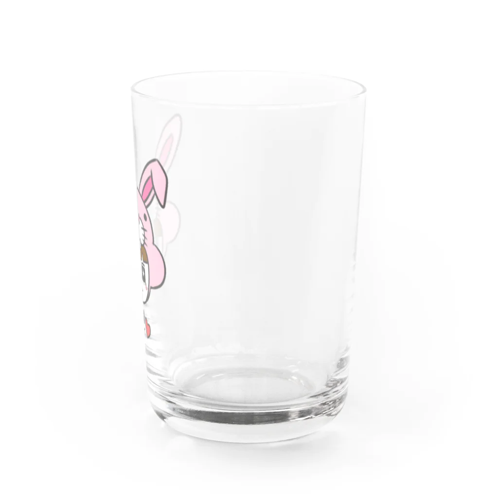 Ice_chienyannのアイスの妖精ひえにゃん Water Glass :right