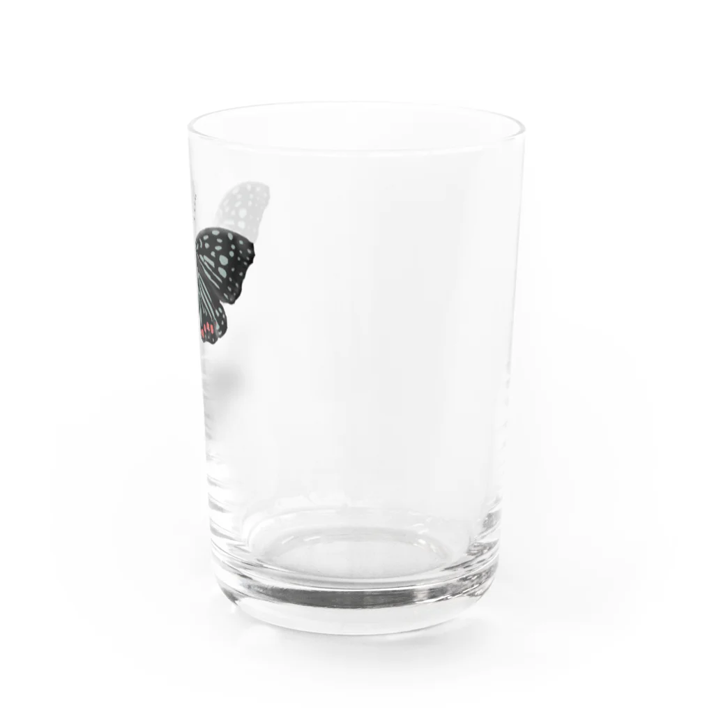 Kanshadoのアカボシゴマダラ Water Glass :right