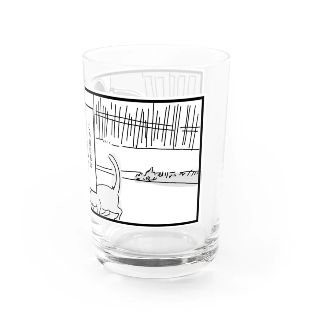 cicadaの無知の知 Water Glass :right