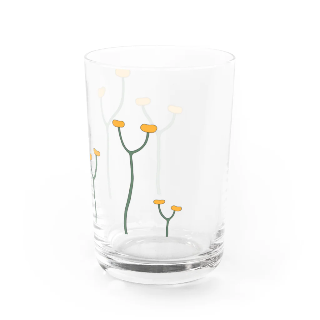 アトリエヱキパのクックソニア（Cooksonia） Water Glass :right