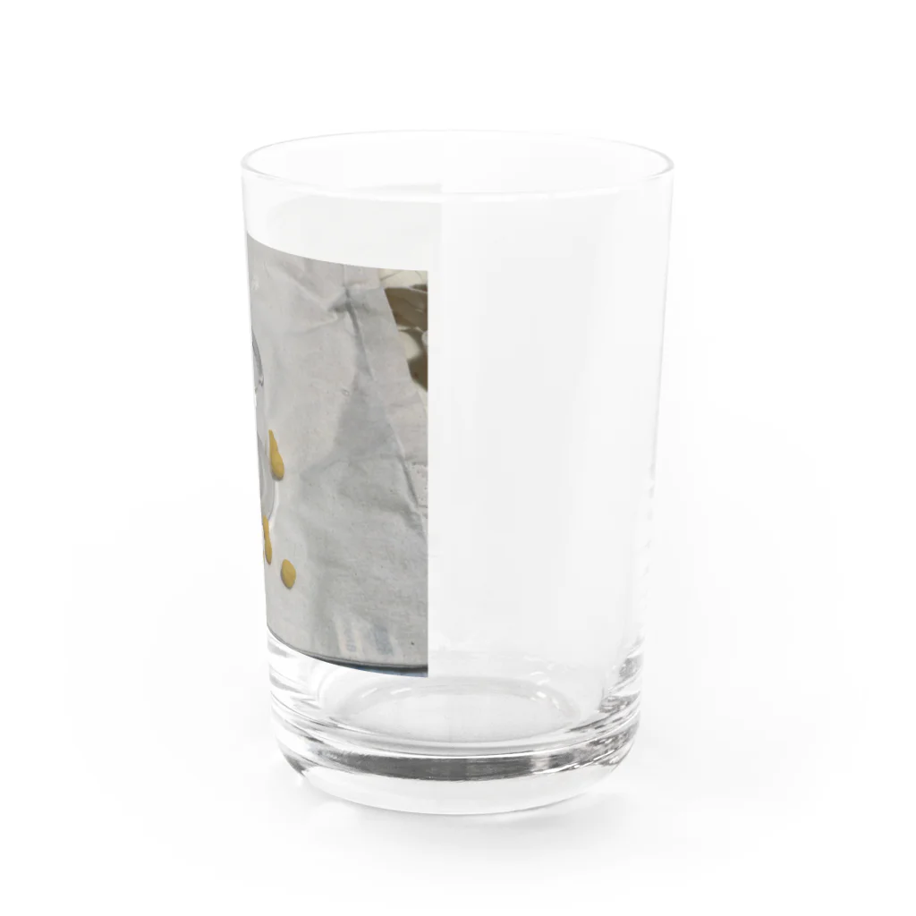 tanuki1gouのコロコロんちょイエロー丸 Water Glass :right