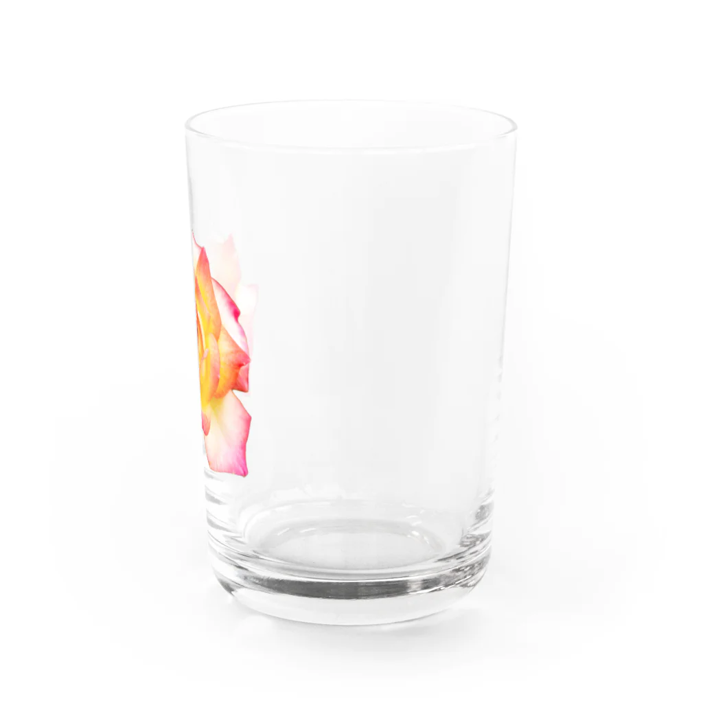 思い出の管理者のその名も薔薇 Water Glass :right