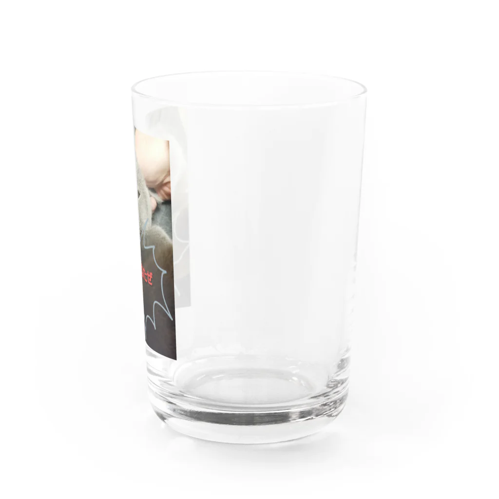 kawazudonの仕留め損ねた Water Glass :right