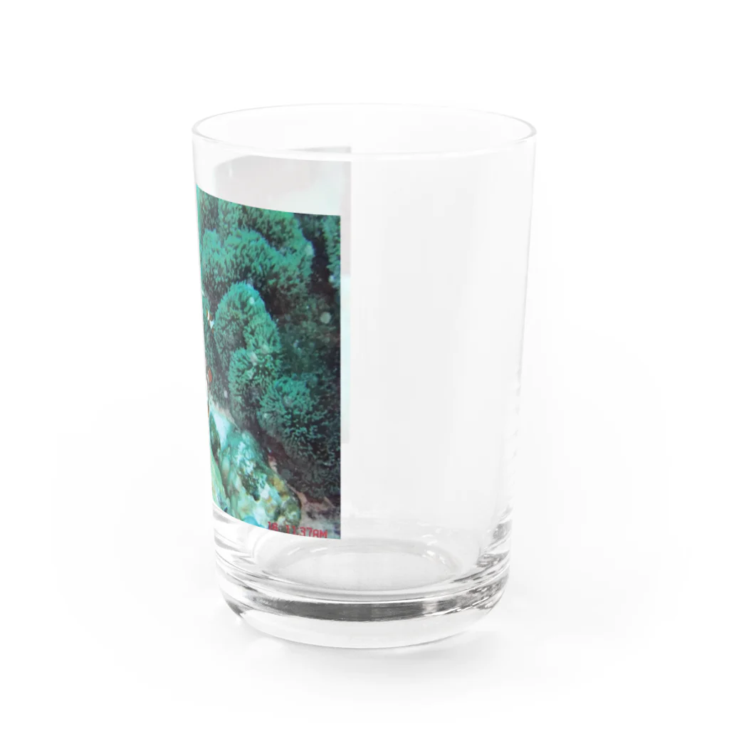 時間泥棒の海　カクレクマノミ　ニモ Water Glass :right