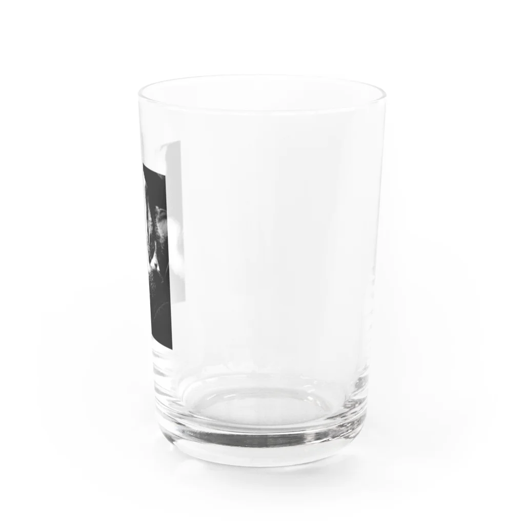 chama_coのsleeping cat glass グラス右面