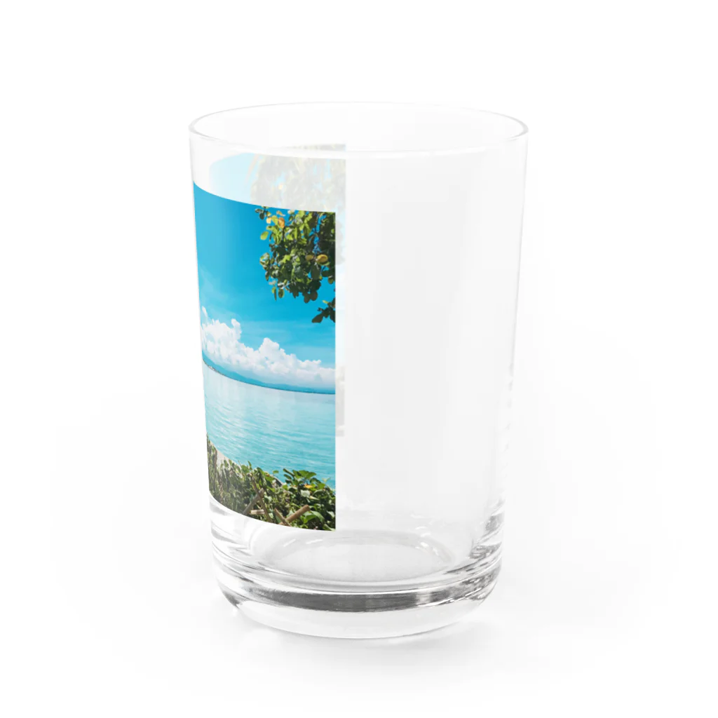 フカツ マリエの南の島 Water Glass :right