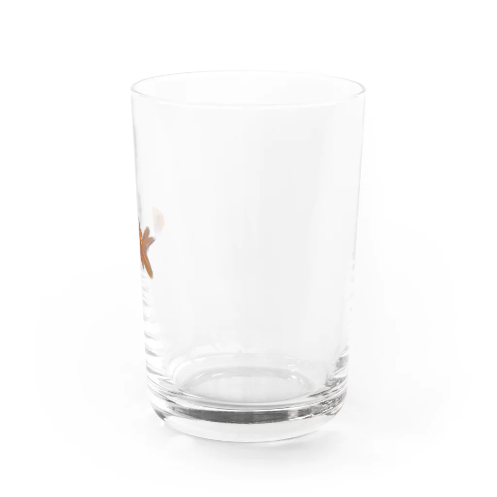 問題児のSuisui  Water Glass :right